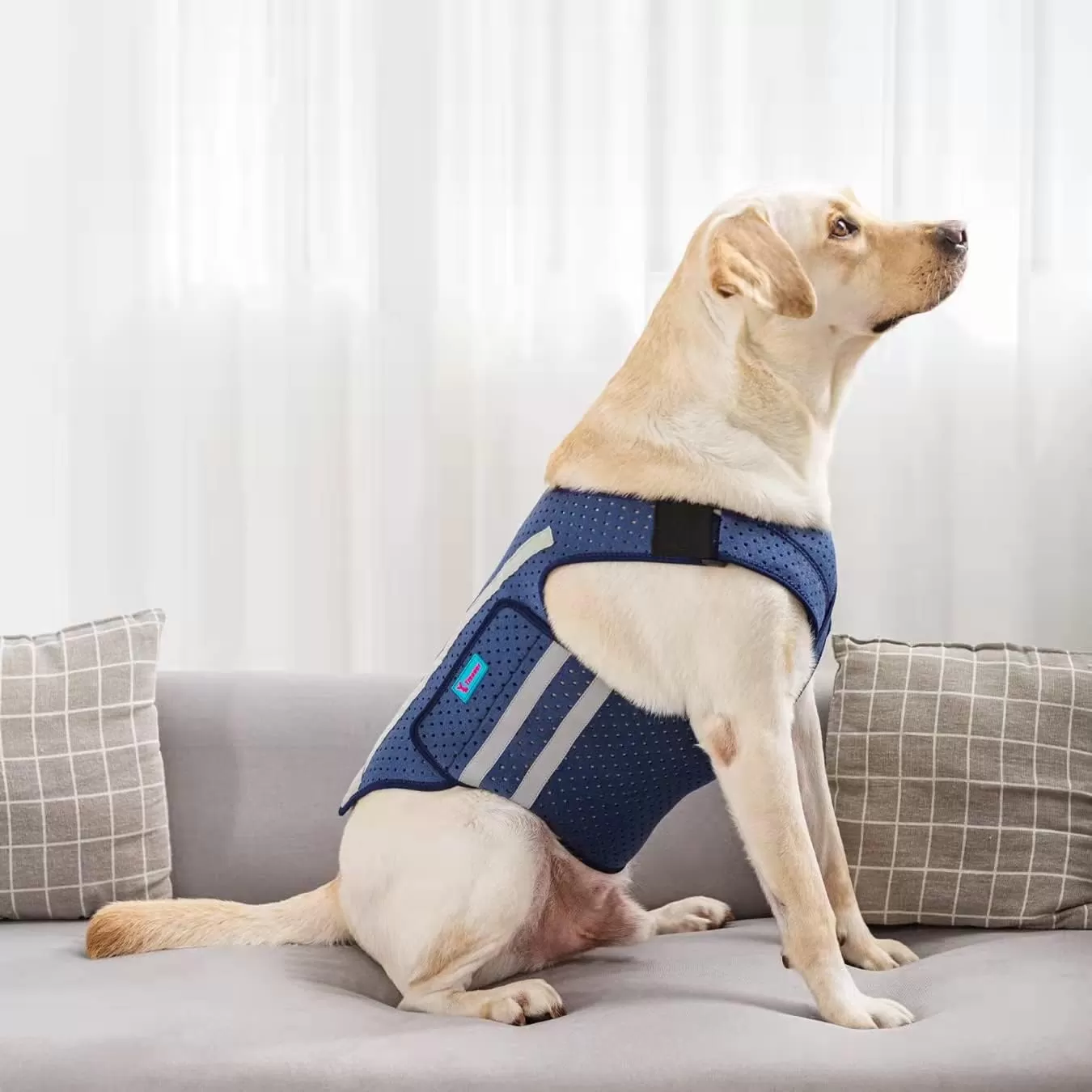 Dog Anxiety Vest, Comfort Dog Anxiety Relief Jacket, Breathable Shirts for Dogs, Soft Dog Anxiety Coat Vest, Puppy Anxiety Warp Calming Thunder Shirt for Pet (M, Blue)