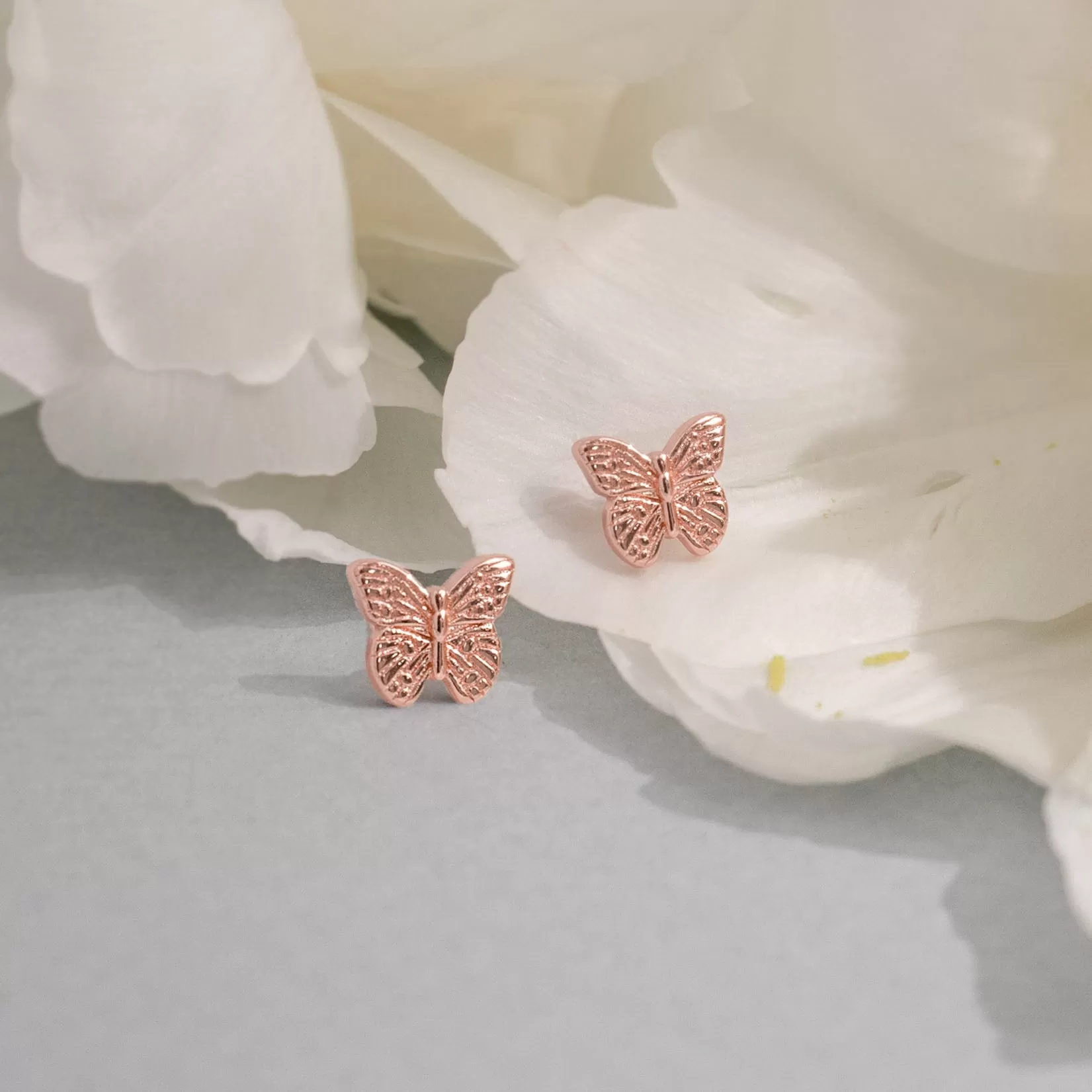 Elyse Butterfly Studs