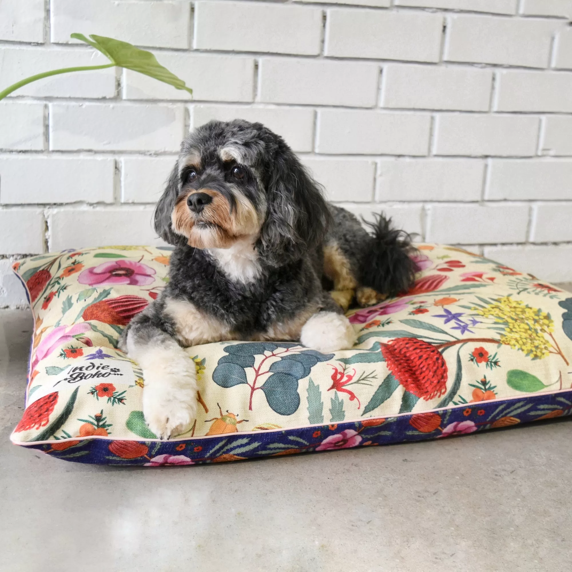 Native Flora – MEDIUM Pet Bed